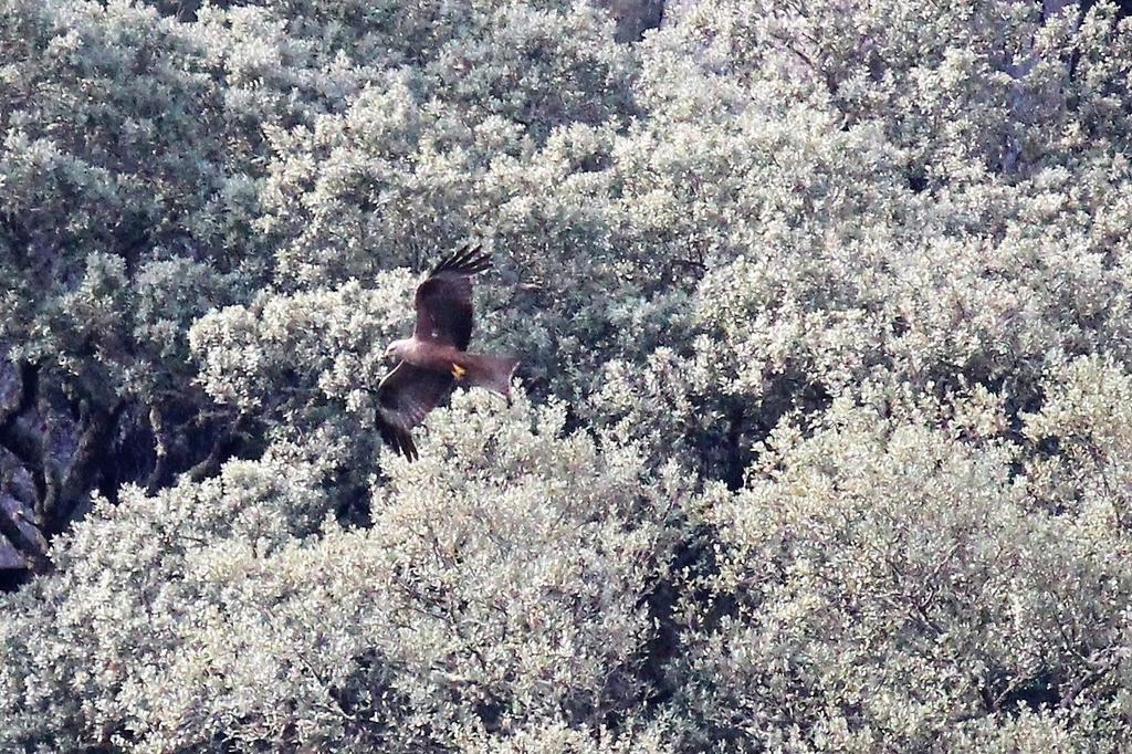 Affittacamere A Casa Da Eira Cerreda Esterno foto